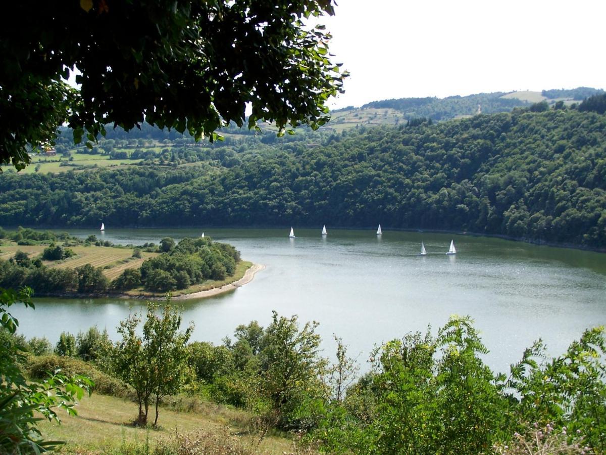 O Fil De L'Eau - Gite En Bord De Lac Saint-Jean-Saint-Maurice-sur-Loire Экстерьер фото